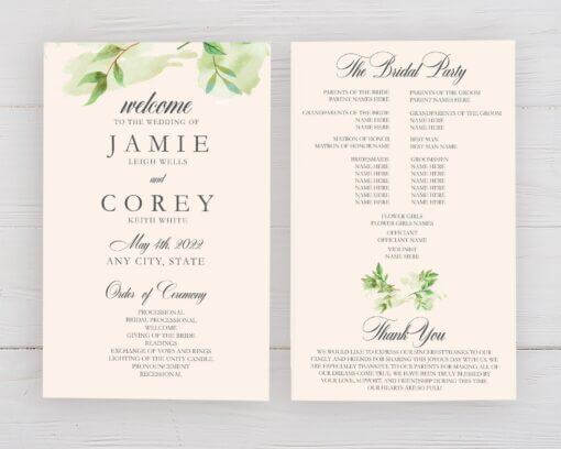 Daydream Program - goprintplus