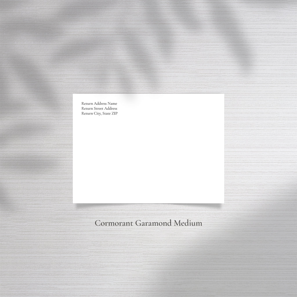 Professional Envelope Addressing