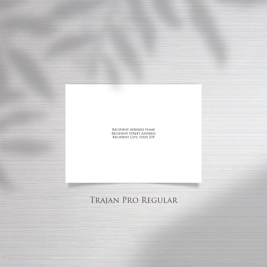 Professional Envelope Addressing