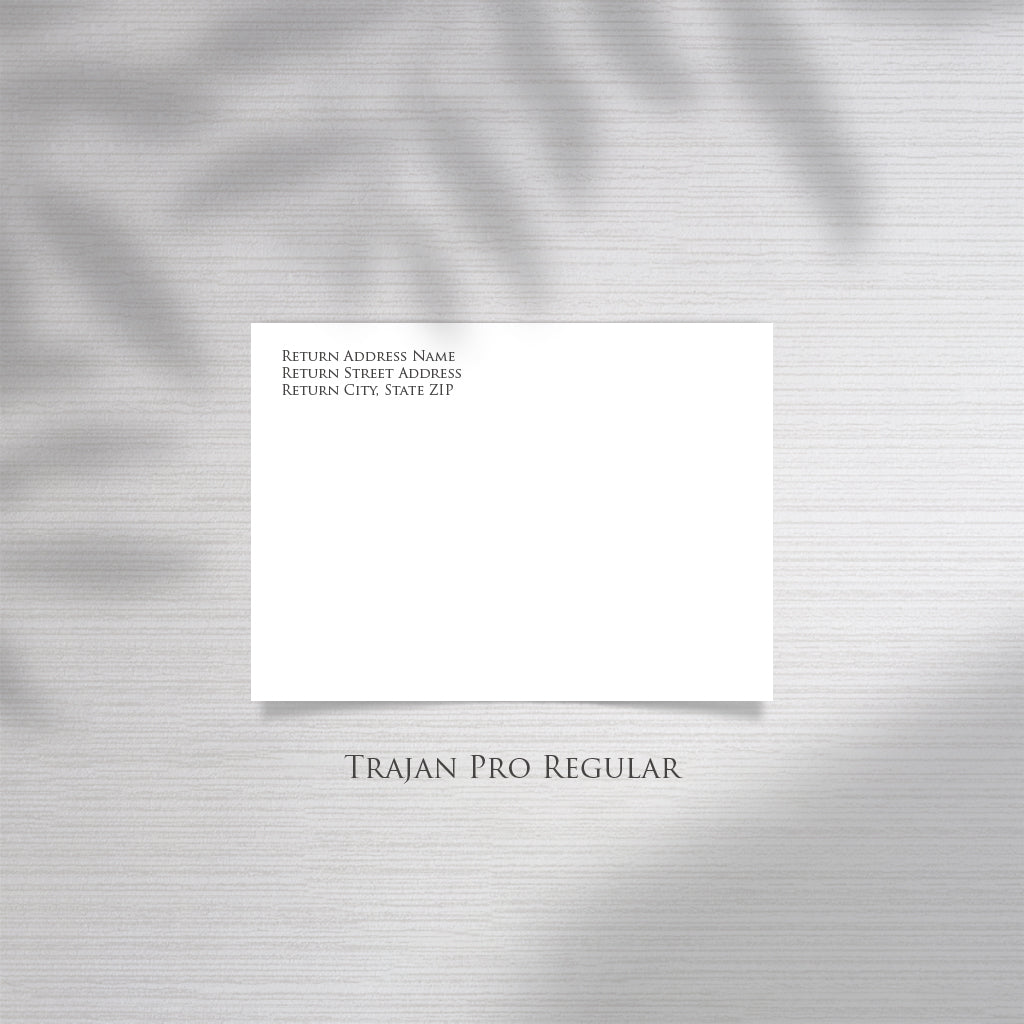 Professional Envelope Addressing