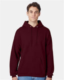 Hanes - Unisex EcoSmart® Hooded Sweatshirt - P170
