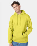 Unisex EcoSmart® Hooded Sweatshirt