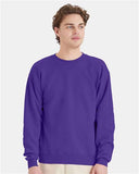 Hanes - Unisex EcoSmart® Crewneck Sweatshirt - P160