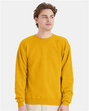 Hanes - Unisex EcoSmart® Crewneck Sweatshirt - P160