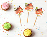 Barnyard-Birthday-Party-Cupcake