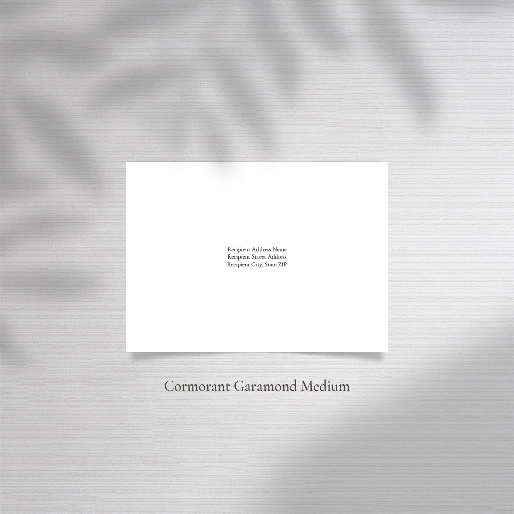 Professional Envelope Addressing