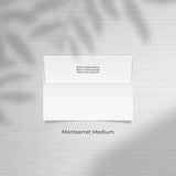 Professional Envelope Addressing