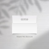 Professional Envelope Addressing