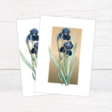 Iris Vintage Invitation - goprintplus