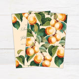 Orange Citrus Invitations - goprintplus