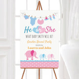 Pink Blue Elephant Gender Reveal - goprintplus